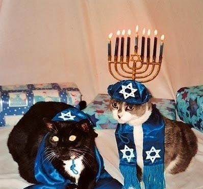 tami-taylors-hair:yehudah:compilationHappy Hanukkah to all my Jewish human friends