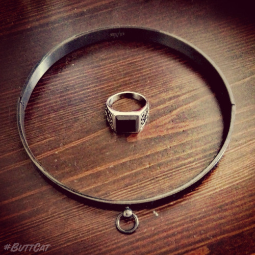 justbuttcat: mastersbuttcat:buttcat’s collar and catmaster’s ring. I belong to him. My c