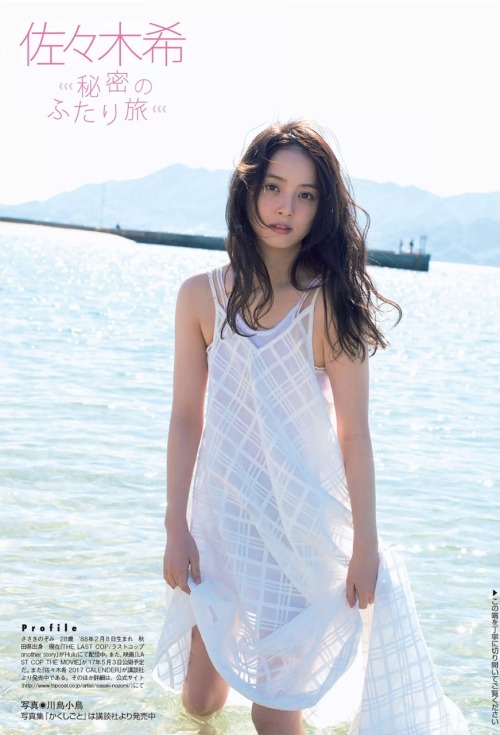 朝顔の咲く季節