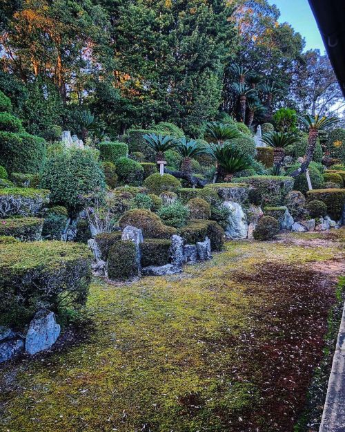 医王寺庭園 [ 静岡県磐田市 ] Iouji Temple Garden, Iwata, Shizuoka の写真・記事を更新しました。 ーーヤマハスタジアム最寄駅 #御厨駅 すぐ近くの観光スポット。