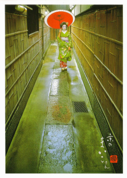 geisha-kai:  Maiko under the rain (SOURCE)
