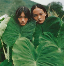 driflloon:    chun jin and hao wen pan for