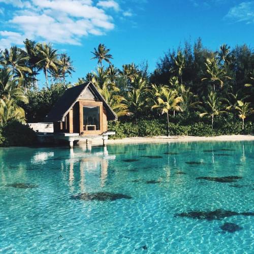 Tropical Paradise