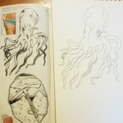 Copying an octopus freehand to study. #octopus