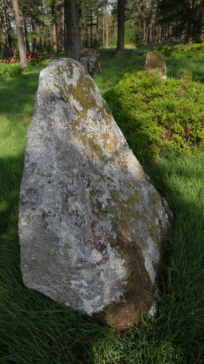 ‘Nine Stanes’ Stone Circle, nr Banchory, Scotland, 30.5.18.There is something really magical about t