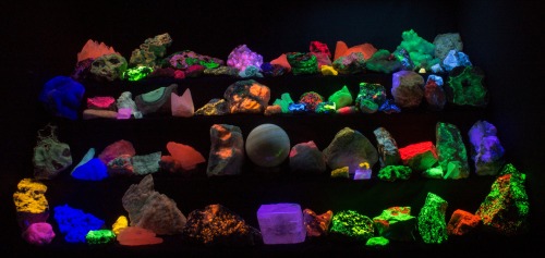 Fluorescent mineral display at the 2019 Dallas Gem and Mineral Society Annual show in November.  Ill
