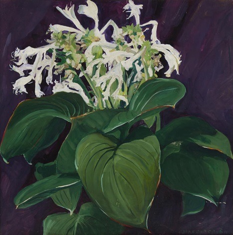 huariqueje: White Hosta  -  Jane Peterson American 1876-1965 Oil on canvas, 32 x 32 in.