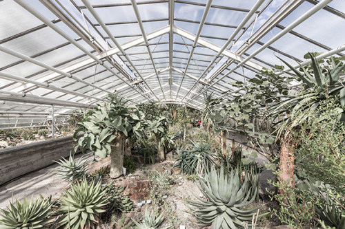 definitelydope: Green Houses, Robert Götzfried