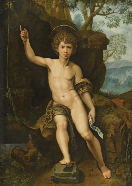 St. John the Baptist in a Rocky Landscape, Michiel Coxie, 16th century