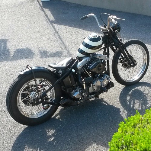 socalchops:Great #harleydavidson #shovelhead #chopper from @leedawg67 I like this bike a lot!