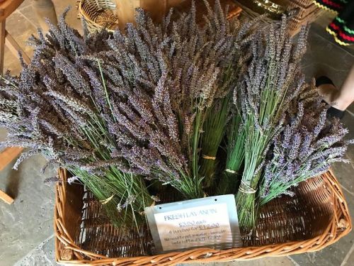 fungimoss: Fresh lavender and cherries from the farm shop !