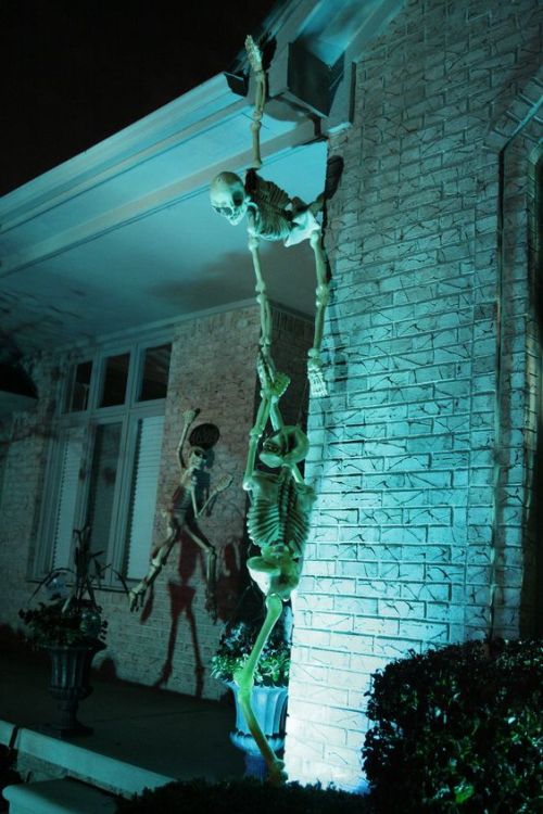 itskarmalone: rururaptor:  thorins-treefort:  sixpenceee:  Climbing skeletons make one creepy halloween decoration!  The skeleton war   The skeleton army looking for hostages   It’s a draft 