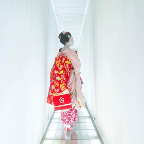 geimei: February 2017: Maiko Mitsuki (Tsurui Okiya) of Gion kobu walking through a narrow hallway. S