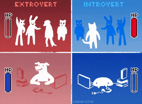 sweatyengineerpenguin:wintercoffin:chaotics015:activates:Are you a hidden extrovert or an introvert?