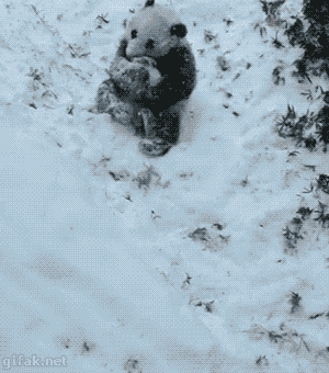 whiskey-throttle-x:  How I feel after this holiday break 🤣