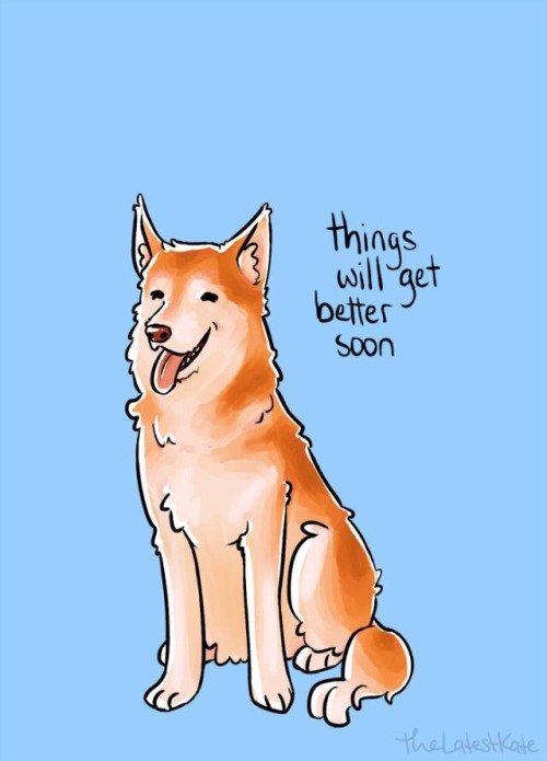 unexpectedly-griffindor:A compilation of positive dogs by thelatestkate