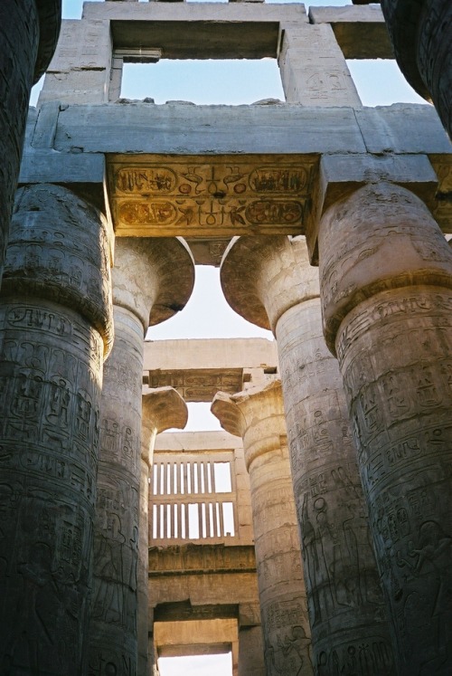 Low angle view of column capitals, Hypostyle Hall, Temple of Amun-Ra, Karnak.