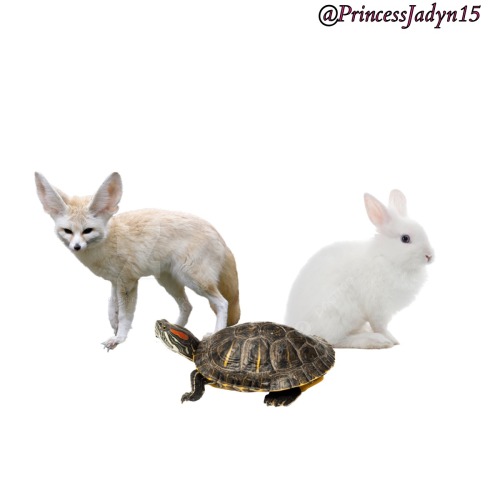 Look Guys Its The Gang