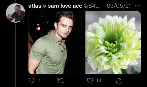 Sebastian Stan As Flowers: An Absolutely Adorable Thread By @S4MWILSON On Twitter