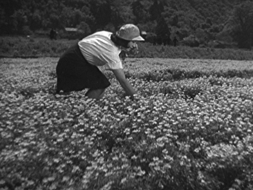 barcarole:No Regrets for Our Youth (わが青春に悔なし), Akira Kurosawa, 1946.