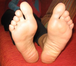 feetplease:  my gf’s feet close up