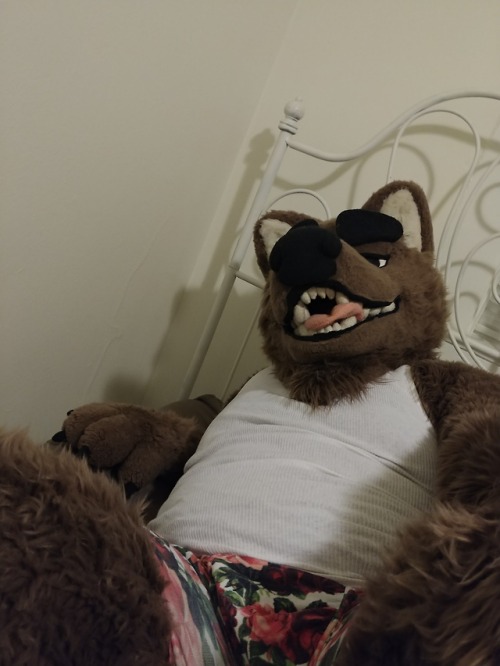 stickyfur:Tum