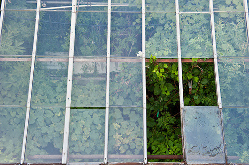 cryingss:Abandoned green house [unknown source]