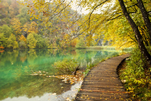 A Nature Blog
