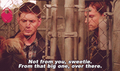 morelikebrothers:  sam winchester ⇾ the big one 