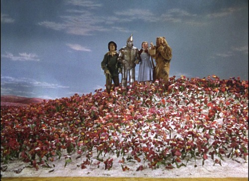 THE WIZARD OF OZ (1939) - Sets and colorsDIRECTOR: Victor FlemingCINEMATOGRAPHER: Harold Rosson