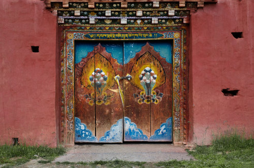 the-iridescence:  Still Life by Steve McCurry