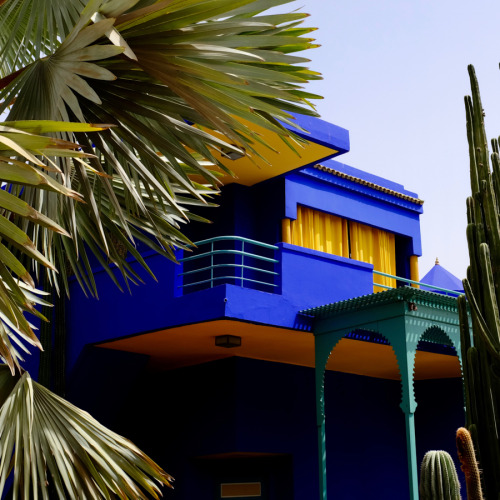 Jardin Majorelle. Marrakech 2021. 