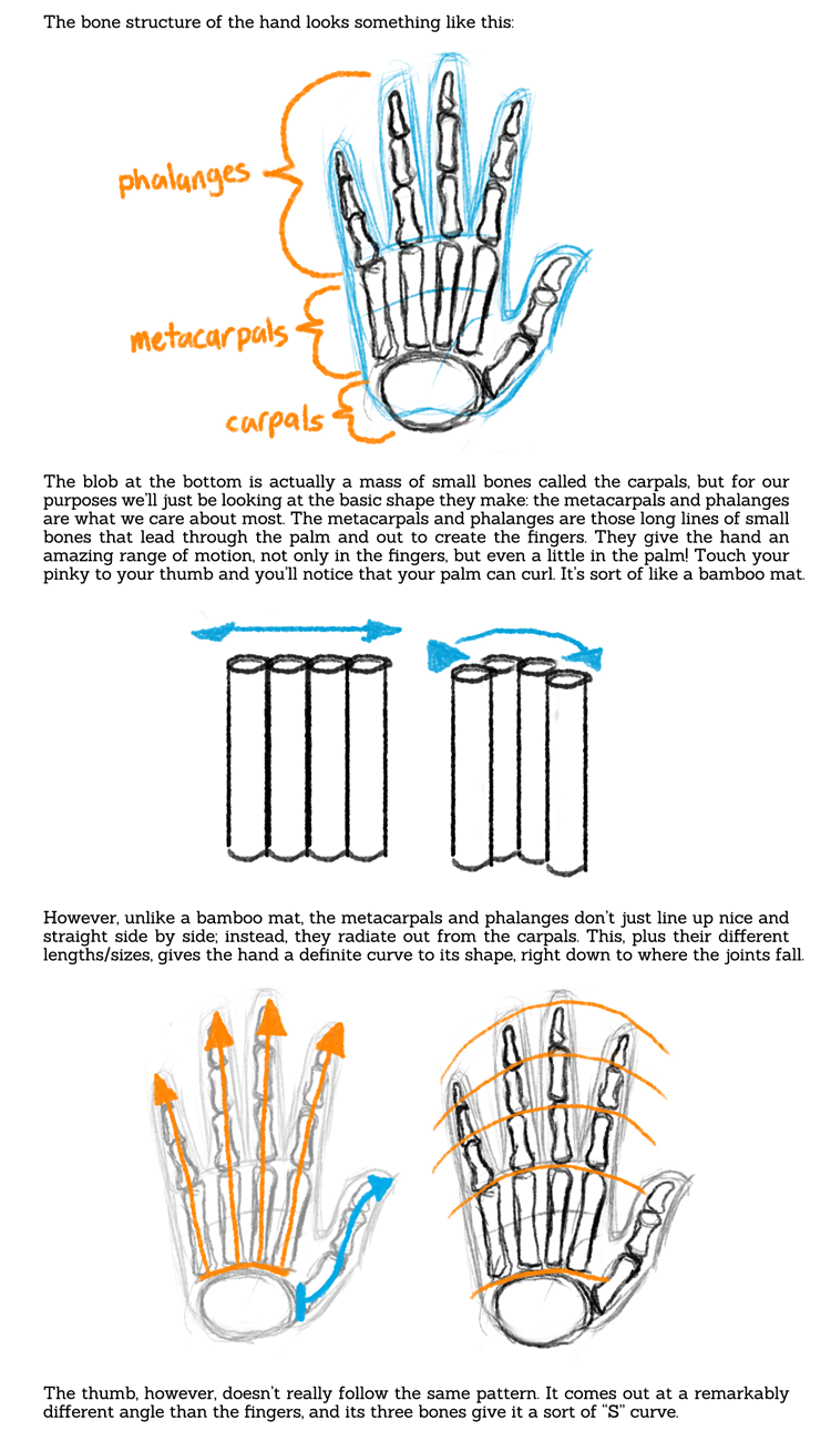 popgoesthewiener:  sarahculture:  Tips on Drawing Hands Tutorial Hope this is helpful!