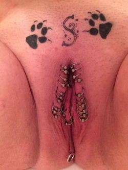  pussymodsgalore Twenty outer labia piercings,