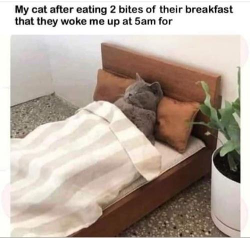 (via)