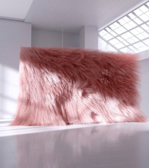 sometimes-now:“My kind of wall” ? @reisingerandres