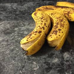 victorpopejr:  My son got mad at me yesterday and opened all the bananas in the house. What type of passive aggressive monster… 