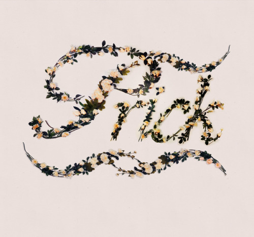 escapekit:Better With Flowers Brazilian illustrator and designer Antonio Rodrigues Jr has spelled out several offensive words with a custom typeface made of artificial flowers. Check out the the process on his Behance page. 