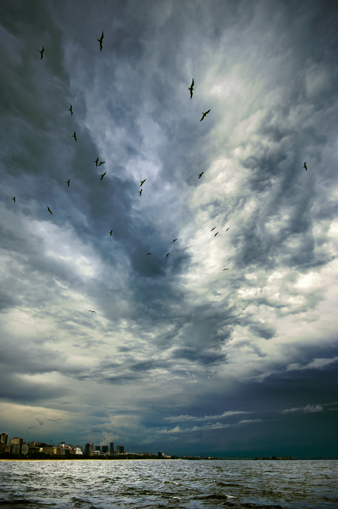 sitoutside:  Depois do Temporal [After the Storm]  by  Jim Skea  