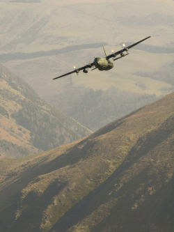 eyestothe-skies:    C-130 Hercules   