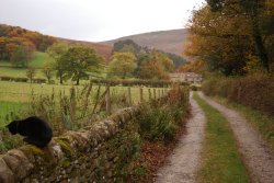 cityhoppersgarden: Autumn landscape near Edale, Peak District,  England   photography by cityhopper2   