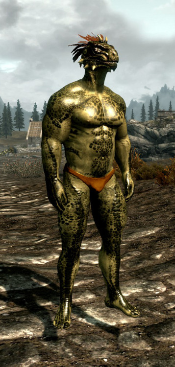 The various argonian males of Skyrim, all rocking colorful briefs and tighty-whities~!  Once again possible by the Shape Atlas for Men Mod for Skyrim. Now if only they could pose