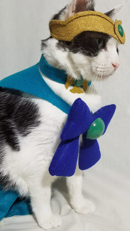 timeywimeyjedi:  Cosmo as Sailor Neptune
