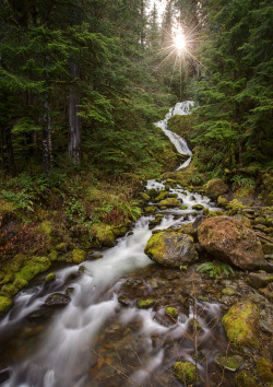 travelingcolors:  Sunrise over Bunch Creek Falls, Olympic National Park | Washington (by Michael Riffle) 