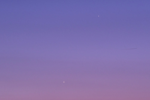 Conjunction: Moon, Venus and Pleiades - Mecury and Venus - Moon and Venusby: Hisayoshi Kato