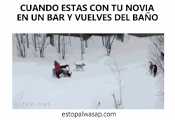 Welele - Tu web de humor, memes, gifs, ví­deos