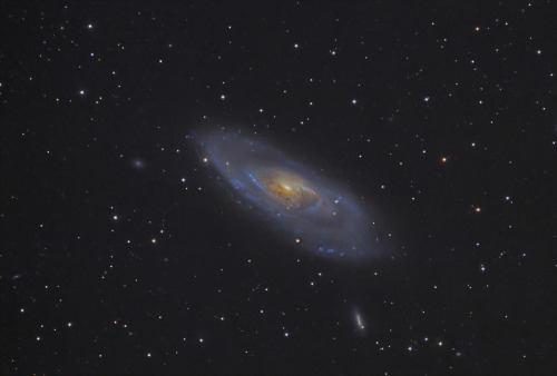 galaxyshmalaxy:M106 (by orions_belt58)