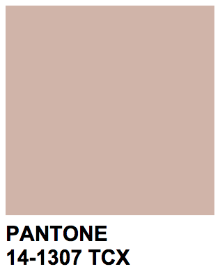 colors — Pantone 14-1307 TCX Rose Dust