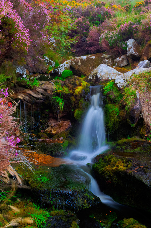 wowtastic-nature:  The heather waterfall by Piotr Galus on 500px○   32
