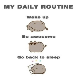 timmcraw:  #MyDailyRoutine